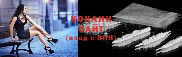 индика Алзамай