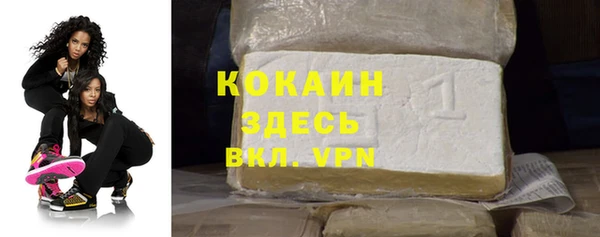 индика Алзамай